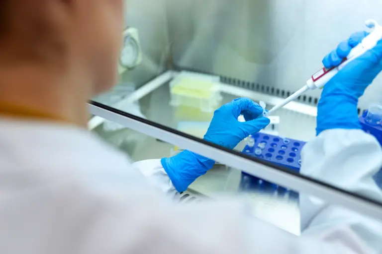 Estudian el uso de cannabinoides para enfermedades autoinmunes y neurodegenerativas