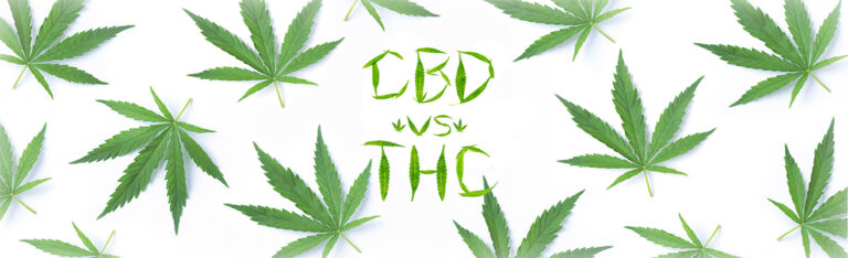 Diferencias entre THC y CBD
