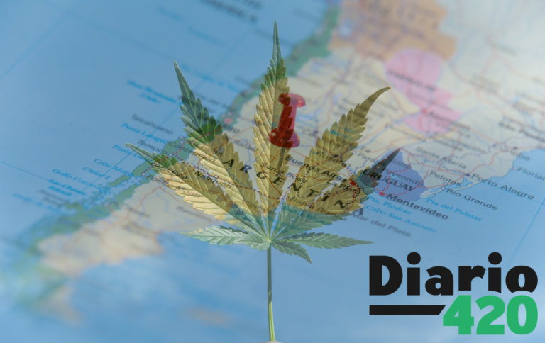 Argentina asiste a la legalización de la marihuana para uso medicinal