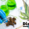Método científico para determinar el origen de cada planta de cannabis