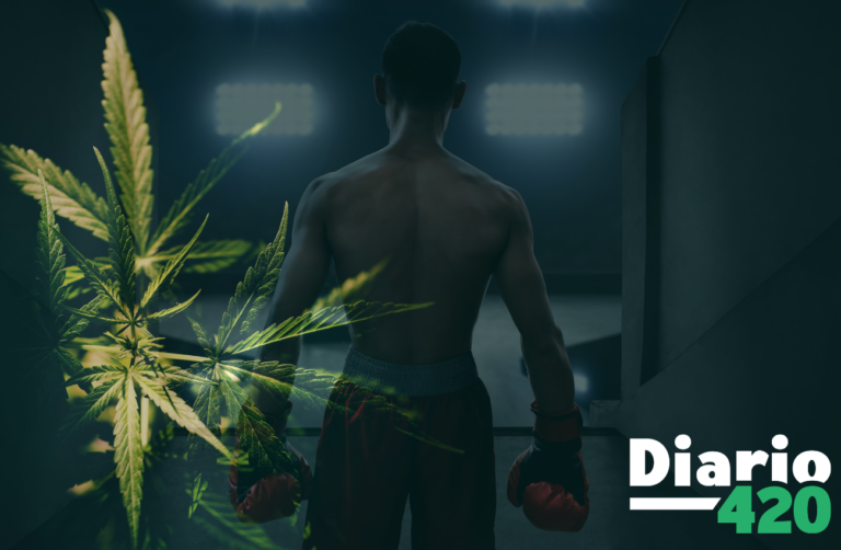 Tyson Ranch despunta en el imperio de la marihuana de la mano de Mike Tyson