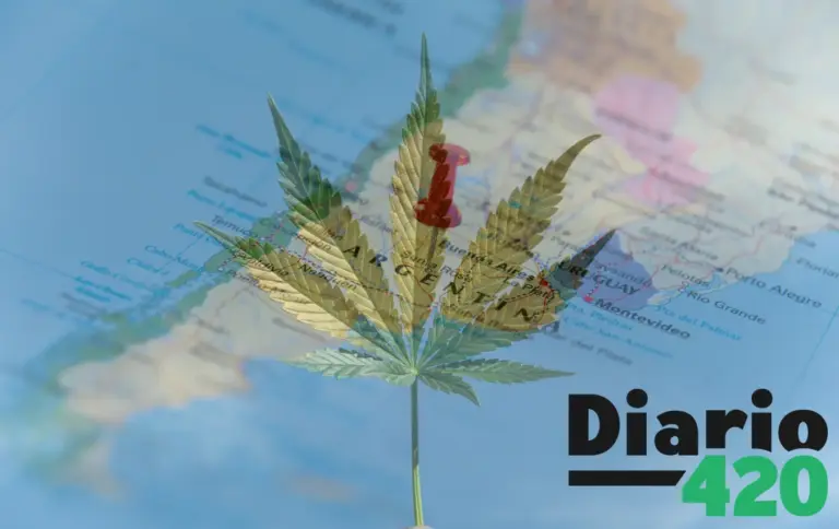 Argentina asiste a la legalización de la marihuana para uso medicinal