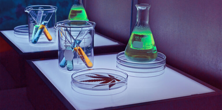 Cannabinoides solubles en agua