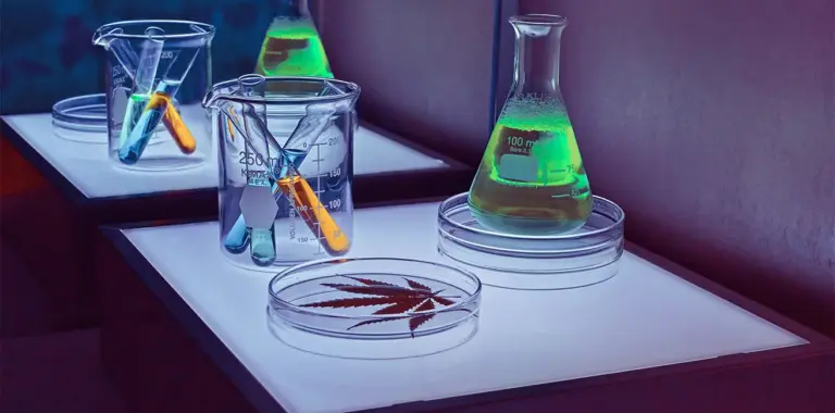 Cannabinoides solubles en agua