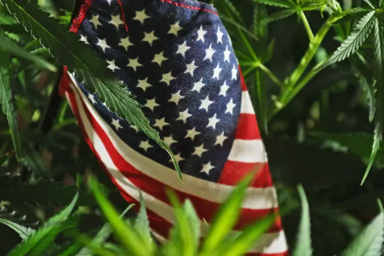 Legalización de la marihuana en mas estados de USA