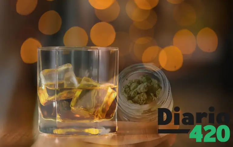 Un estudio concluye que el consumo de cannabis reduce el de alcohol