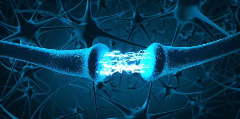 sistema endocannabinoide