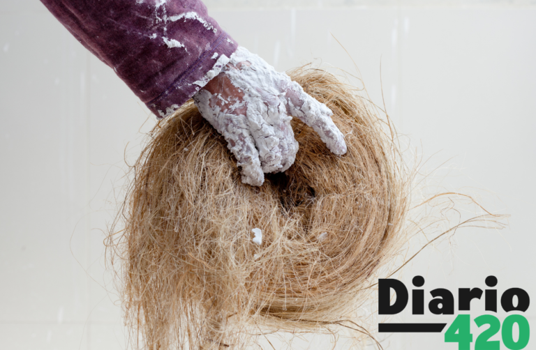 Uso industrial del cañamo