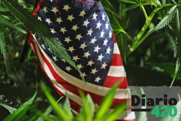 La legalización de la marihuana podría extenderse aún mas en USA