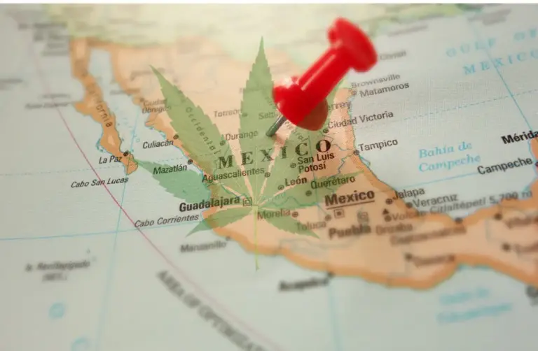 México se manifiesta a favor de la legalización de la marihuana