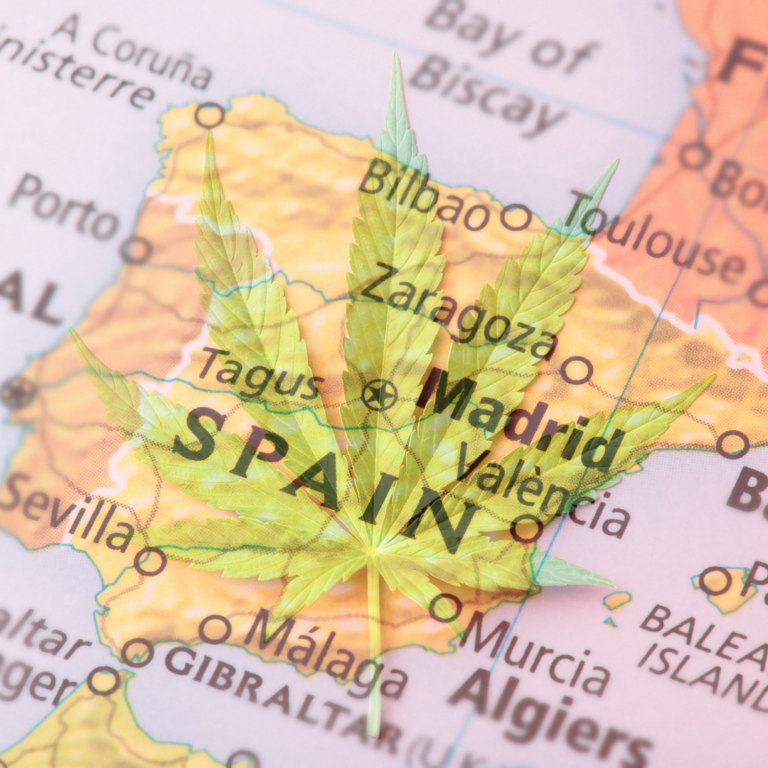 Los españoles están a favor del uso medicinal de la marihuana