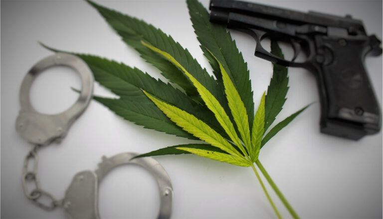 El Cannabis frena la delincuencia en uruguay