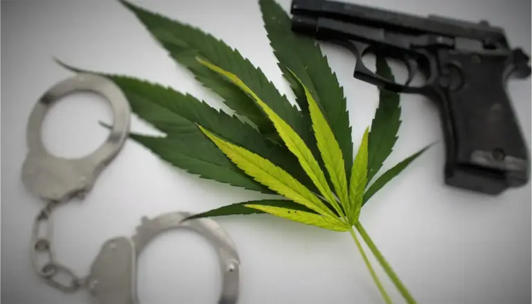 El Cannabis frena la delincuencia en uruguay