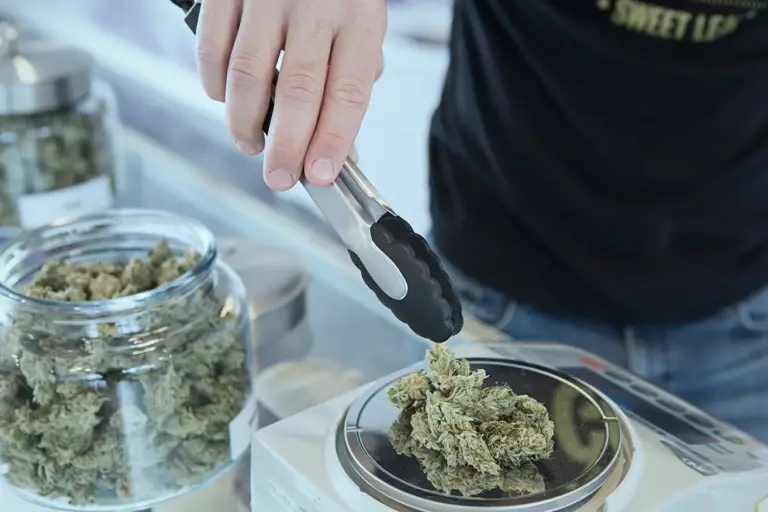 Trabajos ofertados de la industria del cannabis en USA
