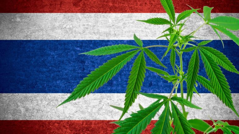 Marihuana en Tailandia