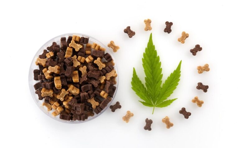 avances-marihuana-medicinal-mascotas