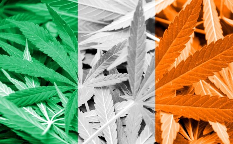 Irlanda legaliza marihuana medicinal