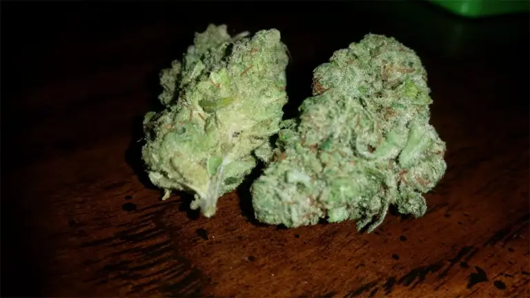 Marihuana King Kong