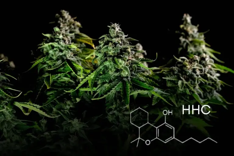 ¿No sabes qué es el HHC? ¡Descubre este nuevo Cannabinoide!