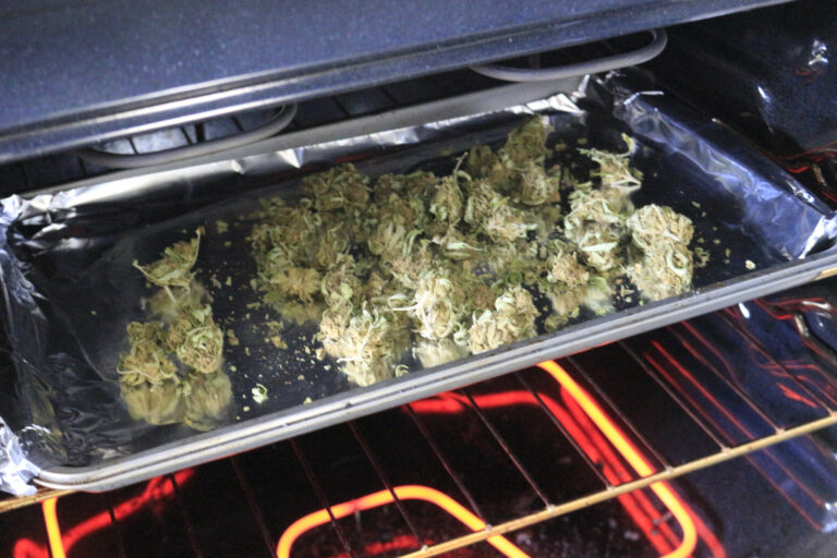 Secado de hojas y cogollos de cannabis en un horno de convección sometido a descarboxilación