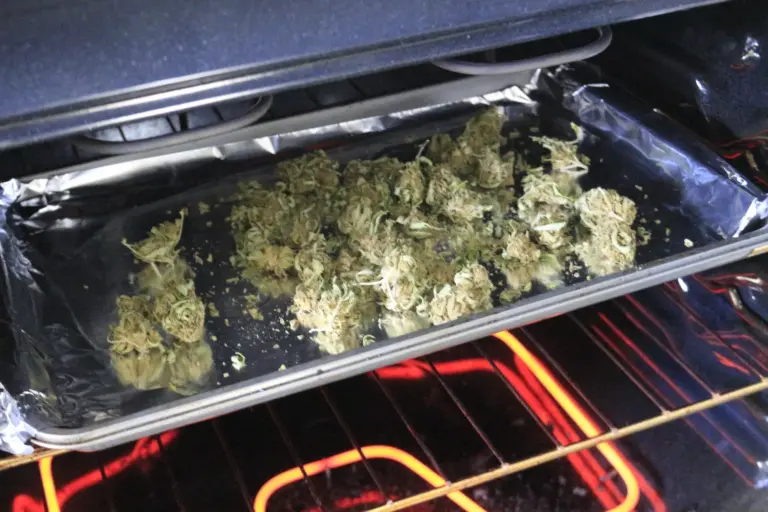 Secado de hojas y cogollos de cannabis en un horno de convección sometido a descarboxilación