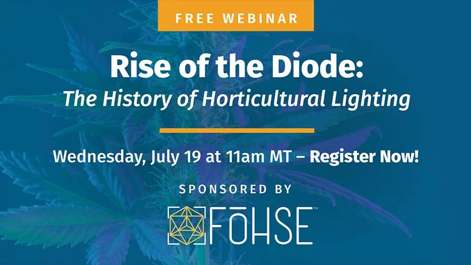 Rise of the Diode: The History of Horticultural Lighting