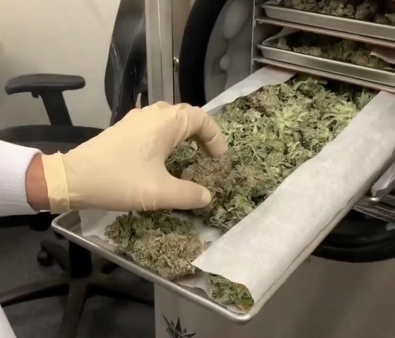 Liofilizador Harvest Right