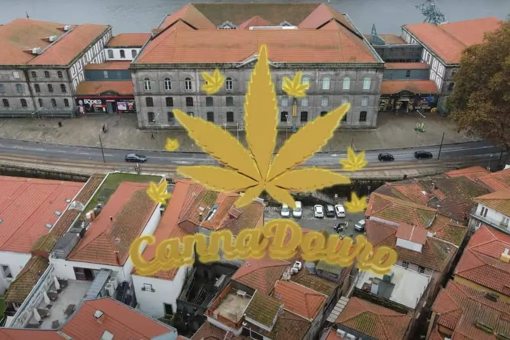 Cannadouro 2023