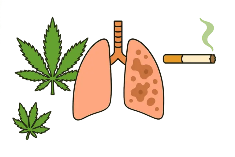 efecto del consumo de cannabis