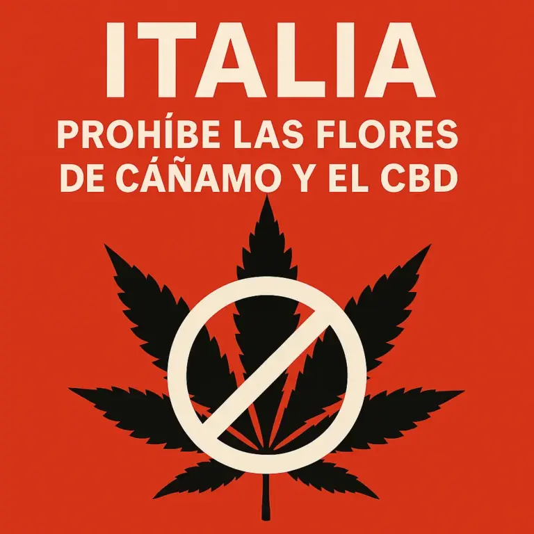flores de cáñamo y el CBD
