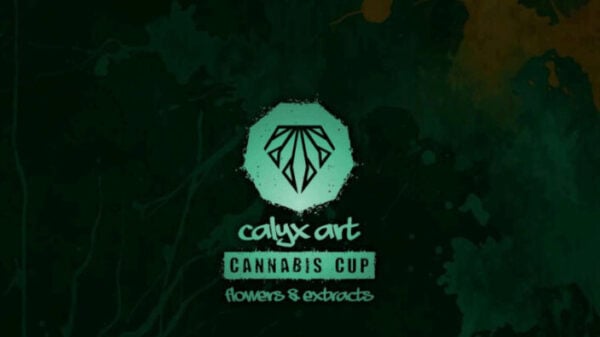 Calyx Art Cannabis Cup