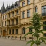 Cannabis en casa, multas en la calle: el modelo luxemburgués bajo la lupa