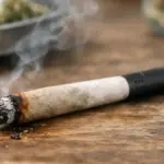 Los filtros de carbón en porros: la estafa silenciosa que nadie te cuenta