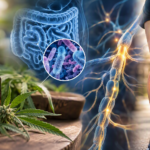 CBD y regeneración nerviosa: un nuevo estudio revela cómo el cannabidiol ayuda a reparar los nervios periféricos